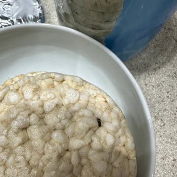 Kapalı Ambalajda Böceklenmiş Pirinç Patlağı İle Karşılaştım