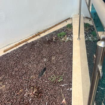 Beklentilerin Altında Otel Ve İade Sorunu: Tatilbudur'dan Paramı Alamıyorum