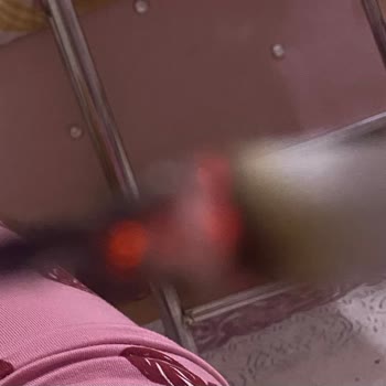 Chesterfield Sigaralarda Sürekli Tahta Çıkma Sorunu Ve Kullanılamayan Ürünler