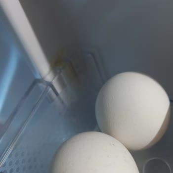 Buzdolabı Kapağı Ve Rafında Tekrarlayan Kırılma Sorunu, Garanti Sonrası Mağduriyet