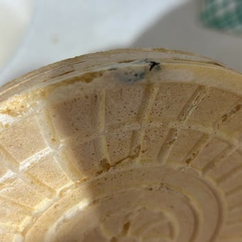 Aldığım Kağıt Helvanın İçinde Böcek Çıktı, Açıklama Bekliyorum