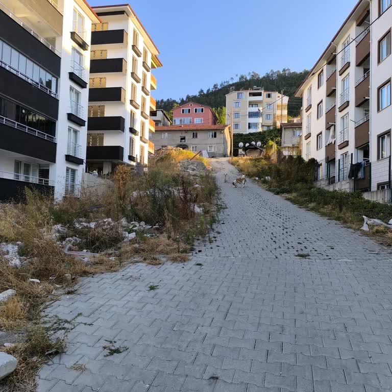 Başıboş Köpekler Çocukların Güvenliğini Tehdit Ediyor Çözüm Bekliyoruz