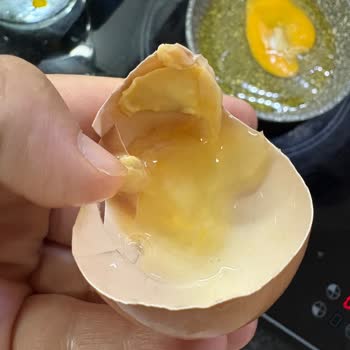 Organik Diye Aldığım Yumurtalar Bozuk Çıktı, Güvenim Sarsıldı!