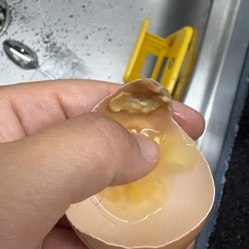 Organik Diye Aldığım Yumurtalar Bozuk Çıktı, Güvenim Sarsıldı!