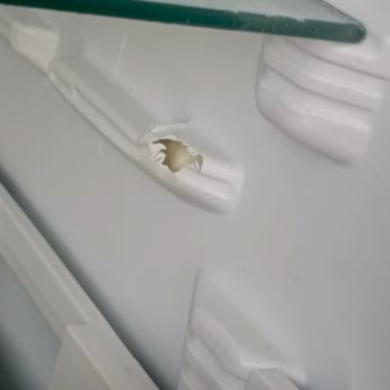 Beko Buzdolabında Garanti Kapsamında Kendiliğinden Oluşan Kırılmalar