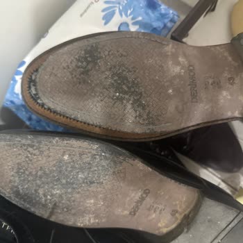 Yeni Alınan Ayakkabının Kısa Sürede Deforme Olması Hayal Kırıklığı Yarattı