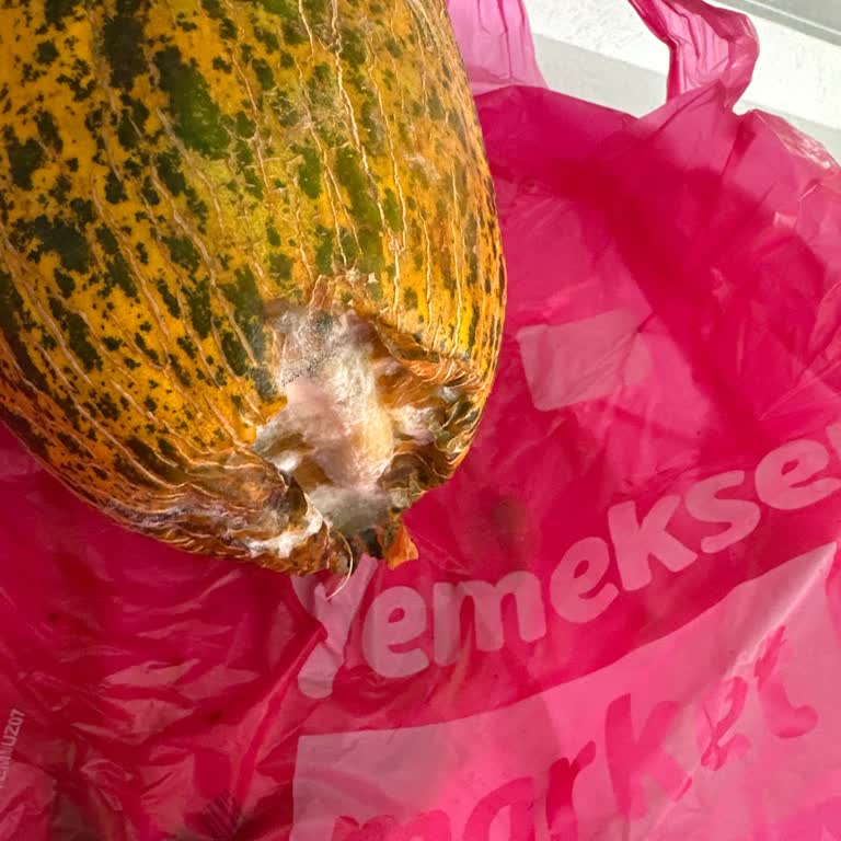 Bozuk Kavun Teslimatı Sonrası Yetersiz Çözüm Ve İletişim Eksikliği