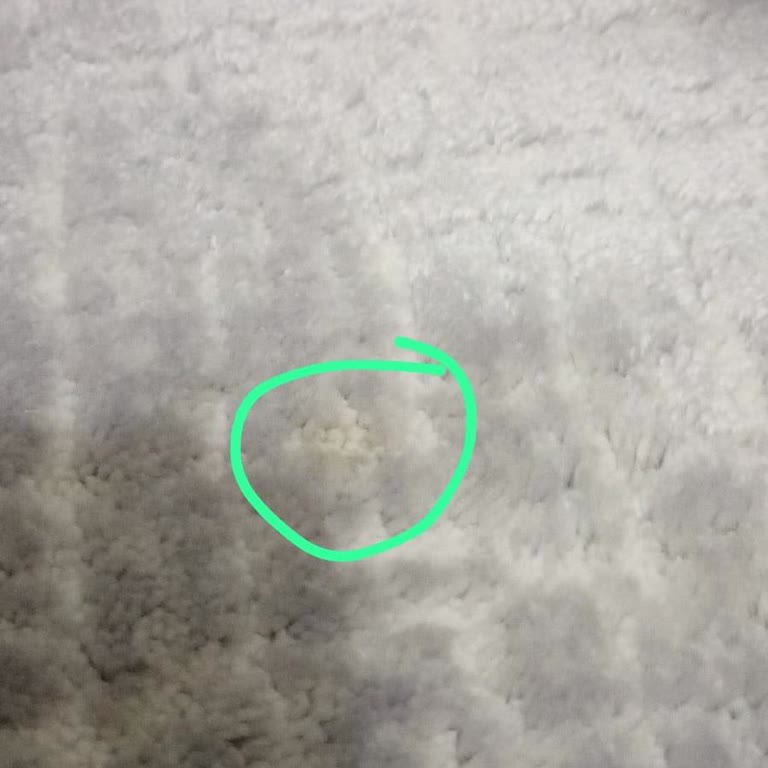 Halılar Kirli Teslim Edildi, Firma İlgisiz Ve Saygısız Davrandı