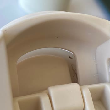 Espressolab Termos Kapağında Hijyen Sorunu Ve Temizlenemeyen Tabaka