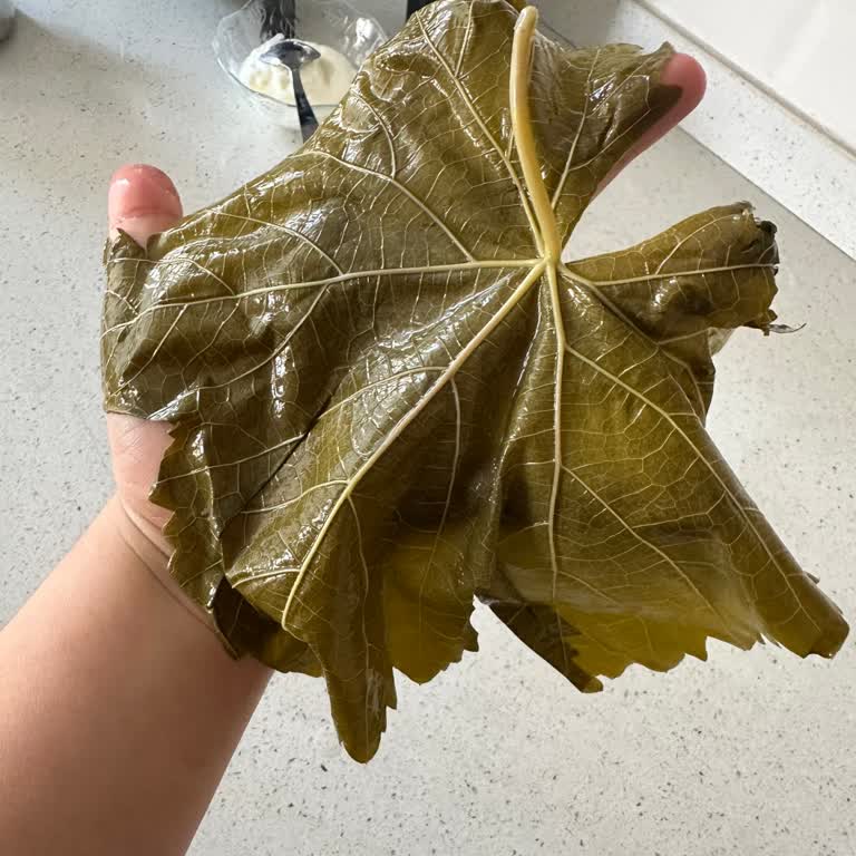 Ürün Kalitesi ve Müşteri Hizmetleri Hakkında Şikayet