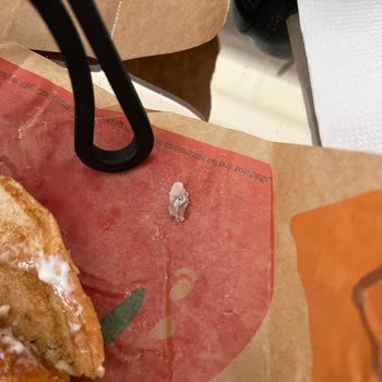 Burger King Siparişimde Karşılaştığım Ciddi Hijyen Sorunu Ve Yetersiz Çözüm