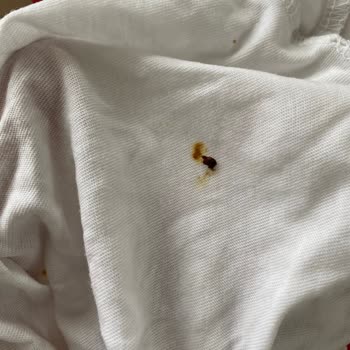 Beko Çamaşır Makinesi Sürekli Arızalanıyor Değişim Talebimiz Karşılanmıyor