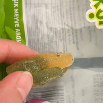 Jelibonun İçinden Kurt Benzeri Yabancı Madde Çıktı!