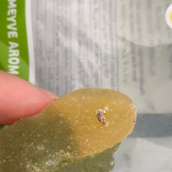 Jelibonun İçinden Kurt Benzeri Yabancı Madde Çıktı!