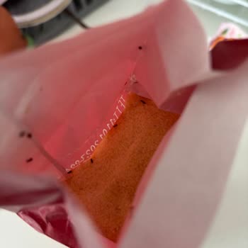 Aldığım İrmik Paketinden Böcek Çıktı, İade Talep Ediyorum