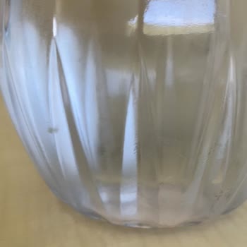 Sümela Su Damacanalarında Yosunlu Görüntü Ve Sağlık Endişesi