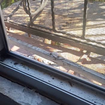 Etstur Rezervasyonunda Kötü Oda Koşulları Ve Ücret İadesi Sorunu