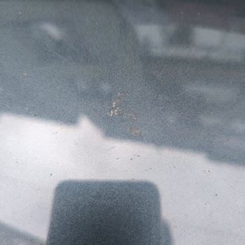 Fiat Egea Cross'ta Garanti Kapsamında Yaygın Boya Kalkması Ve Servis İlgisizliği