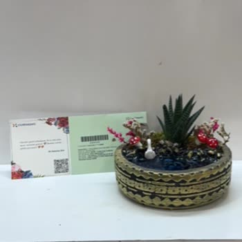 Sipariş Görselden Farklı, Eksik Ve Hatalı Ürün Gönderildi, Çözüm Yetersiz Kaldı