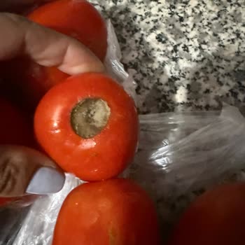 Getir'de Paketleme Sorunları Ve Yetersiz Müşteri Hizmetleri Nedeniyle Mağduriyet