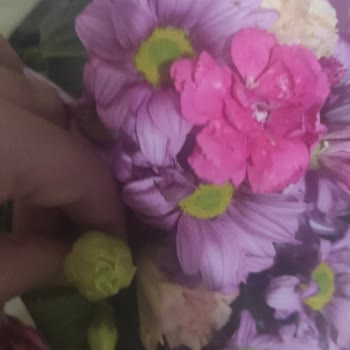 Yanlış Ve Solmuş Çiçek Gönderildi Ücret İadesi Yapılmadı
