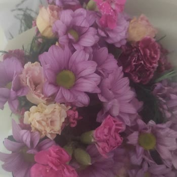 Yanlış Ve Solmuş Çiçek Gönderildi Ücret İadesi Yapılmadı