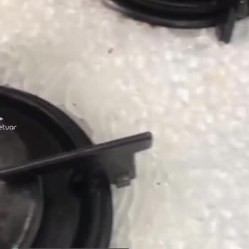 Ferre Yetkili Servis İlgisizliği Ve Mağduriyeti