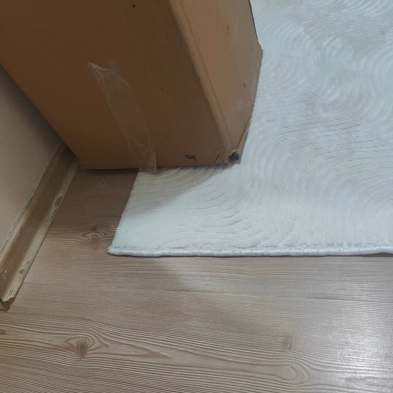 Dyson Hava Temizleyici Filtrelerinin Kısa Ömrü Ve Sürekli Ücret Talebi