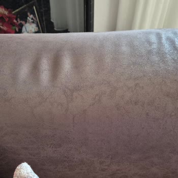 Satın Aldığım Kanepe Ve Yatakta Sorunlar Çözülmüyor Servis Mağduriyetimi Gideremedi