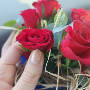 Yanlış Ve Solgun Çiçek, Kaba Kurye, Yetersiz Müşteri Hizmeti