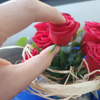 Yanlış Ve Solgun Çiçek, Kaba Kurye, Yetersiz Müşteri Hizmeti