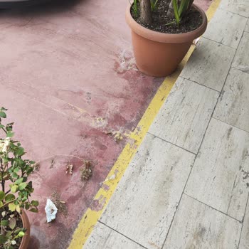 Belediyenin Ot Biçimi Sonrası Temizlik Yapmaması Mağazamızı Olumsuz Etkiliyor