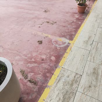 Belediyenin Ot Biçimi Sonrası Temizlik Yapmaması Mağazamızı Olumsuz Etkiliyor