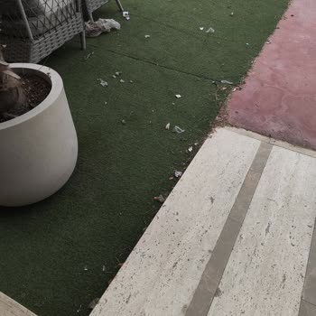 Belediyenin Ot Biçimi Sonrası Temizlik Yapmaması Mağazamızı Olumsuz Etkiliyor