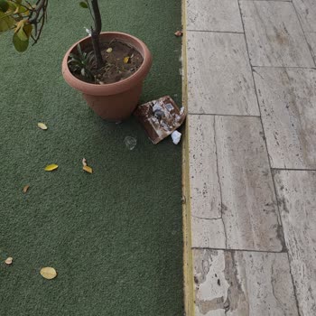 Belediyenin Ot Biçimi Sonrası Temizlik Yapmaması Mağazamızı Olumsuz Etkiliyor