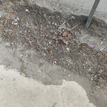 Belediyenin Ot Biçimi Sonrası Temizlik Yapmaması Mağazamızı Olumsuz Etkiliyor