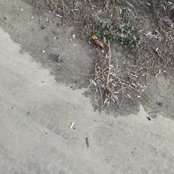 Belediyenin Ot Biçimi Sonrası Temizlik Yapmaması Mağazamızı Olumsuz Etkiliyor