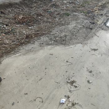 Belediyenin Ot Biçimi Sonrası Temizlik Yapmaması Mağazamızı Olumsuz Etkiliyor