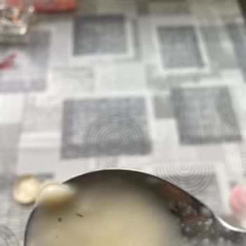 Hipp Sütlaçta Yabancı Madde Buldum, Sağlığım Tehlikeye Girdi