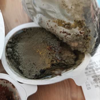 Küflü Ozmo Cool Egg Ürünleri Ve Güven Sorunu