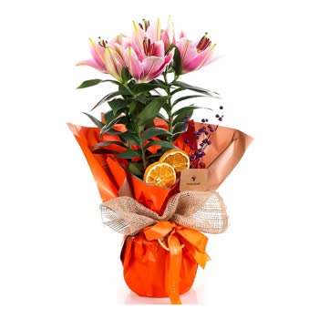 Görselden Farklı Çiçek Gönderildi Müşteri Talebim Dikkate Alınmadı