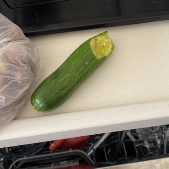 Kargomda Fare İzleri Ve Hasarlı Sebzeler: Hijyen Skandalı