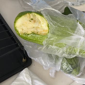 Kargomda Fare İzleri Ve Hasarlı Sebzeler: Hijyen Skandalı