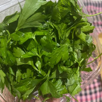 Vega AVM Park Pide Lahmacun Maydanozda Kurt Çıktı!