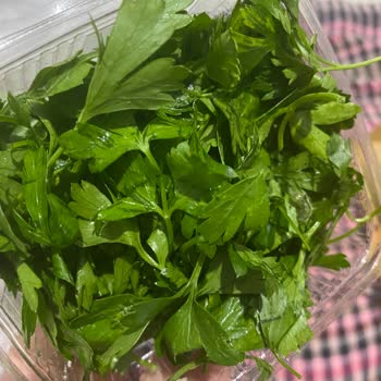 Vega AVM Park Pide Lahmacun Maydanozda Kurt Çıktı!