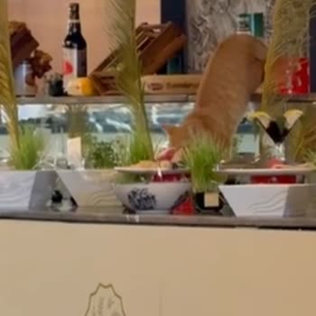 Otel Yönetiminin İlgisizliği Ve Hijyen Sorunları Tatilimi Mahvetti