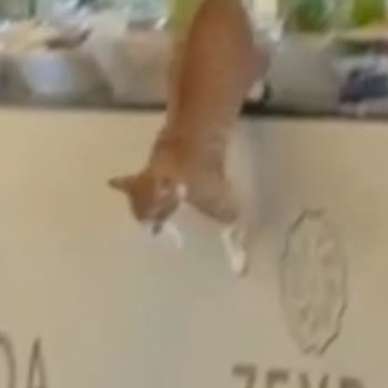 Otel Yönetiminin İlgisizliği Ve Hijyen Sorunları Tatilimi Mahvetti