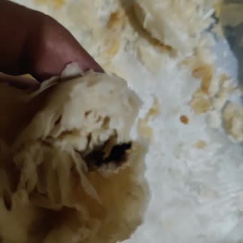 Nimet Gıda Hazır Gıdada Şok Edici Sürpriz: Boyozun İçinden Yabancı Madde Çıktı