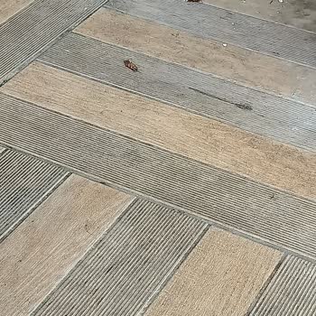 Kötü Temizlik, Hijyen Sorunları Ve Mağduriyet Yaşadım