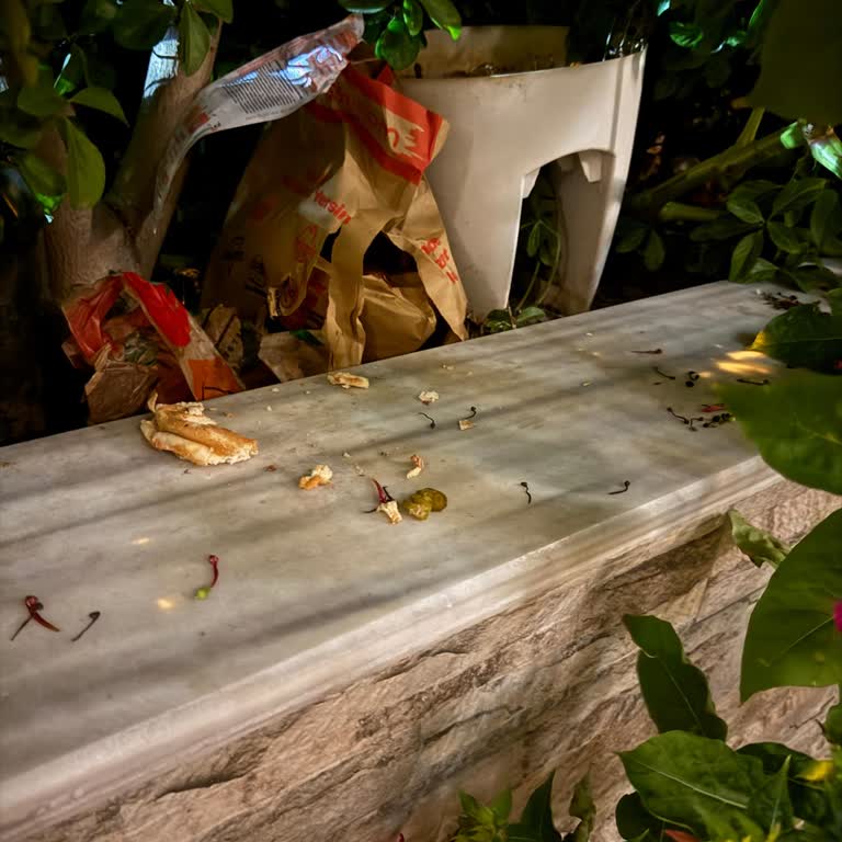 Siparişim Yanlış Adrese Bırakıldı, Ürün Kullanılamaz Durumda Ve Ücret İadesi Yapılmadı